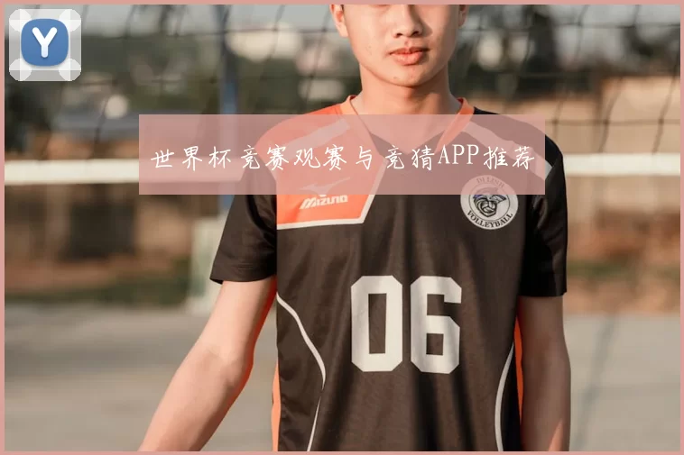 世界杯竞赛观赛与竞猜APP推荐