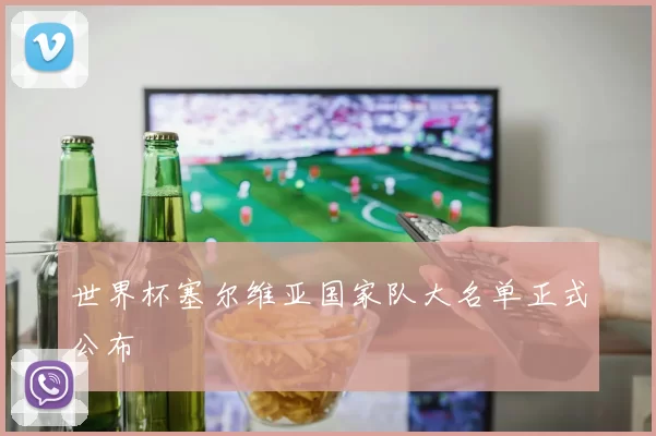 世界杯塞尔维亚国家队大名单正式公布