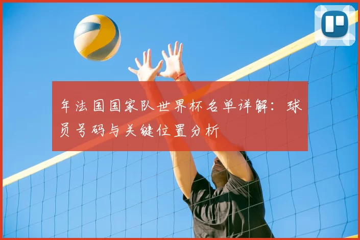 年法国国家队世界杯名单详解：球员号码与关键位置分析