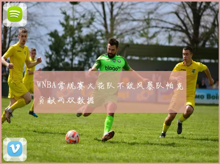 WNBA常规赛火花队不敌风暴队帕克贡献两双数据