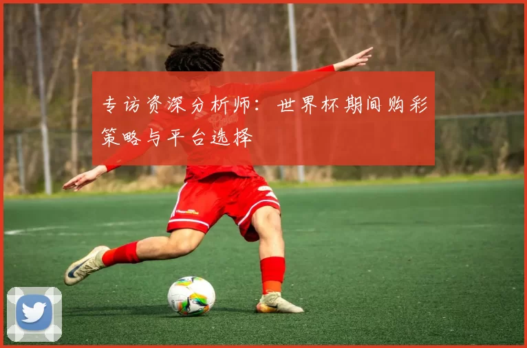 专访资深分析师：世界杯期间购彩策略与平台选择