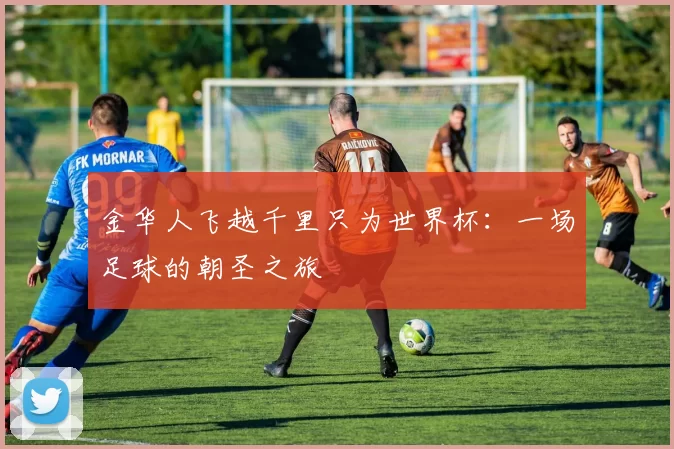 金华人飞越千里只为世界杯：一场足球的朝圣之旅