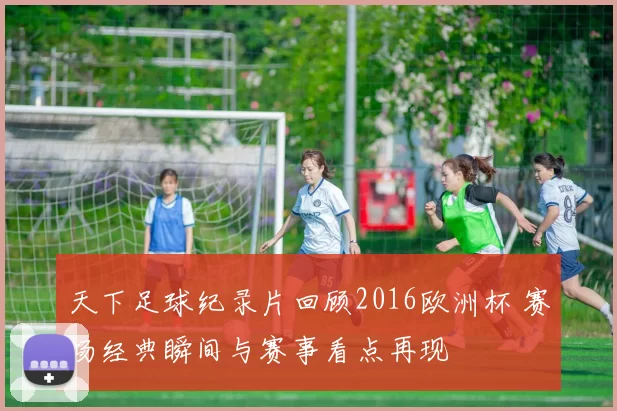 天下足球纪录片回顾2016欧洲杯 赛场经典瞬间与赛事看点再现