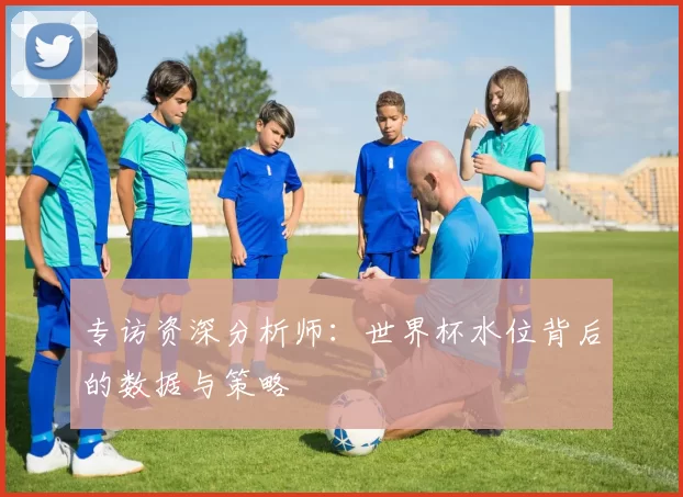 专访资深分析师：世界杯水位背后的数据与策略