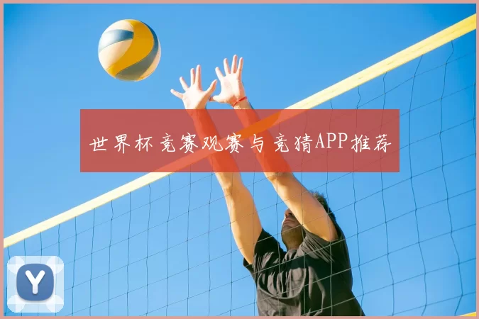 世界杯竞赛观赛与竞猜APP推荐