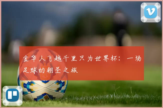 金华人飞越千里只为世界杯：一场足球的朝圣之旅