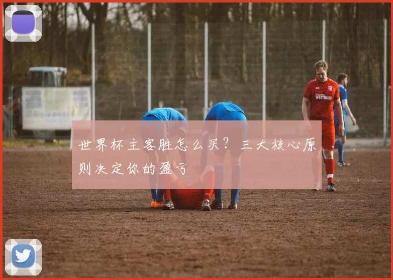 世界杯主客胜怎么买？三大核心原则决定你的盈亏
